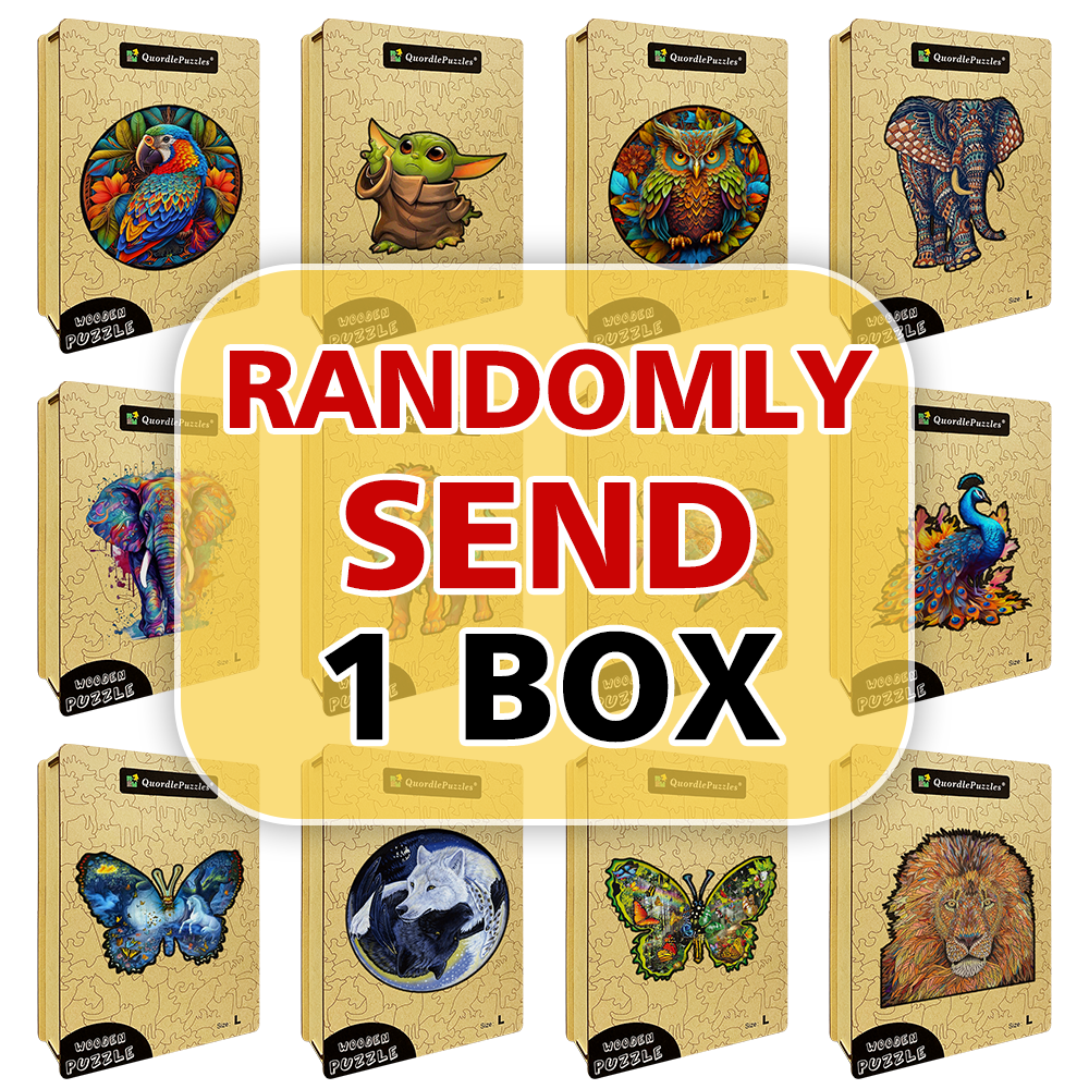 Mystery-Box-Puzzle – 1 Box nach dem Zufallsprinzip senden