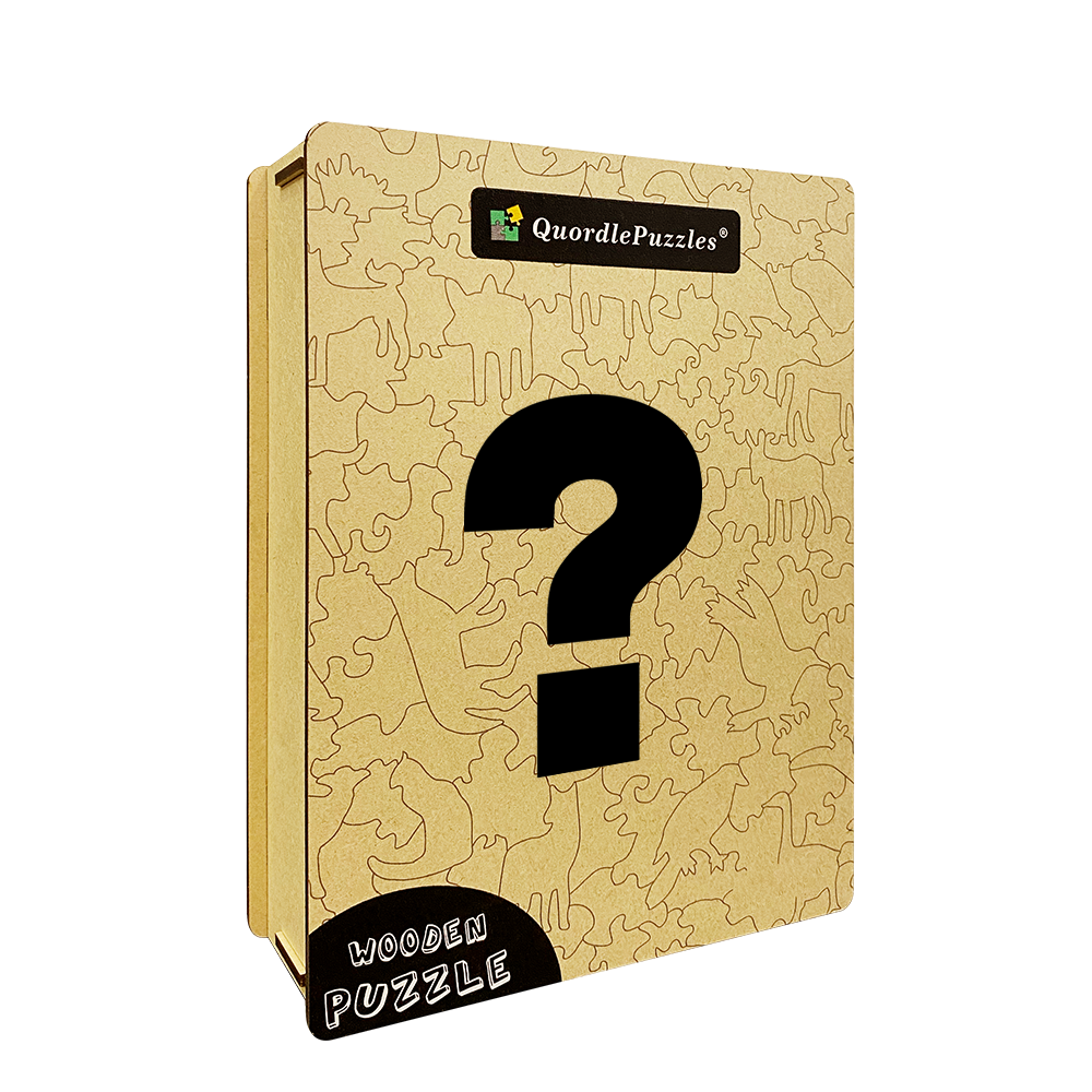 Mystery-Box-Puzzle – 1 Box nach dem Zufallsprinzip senden